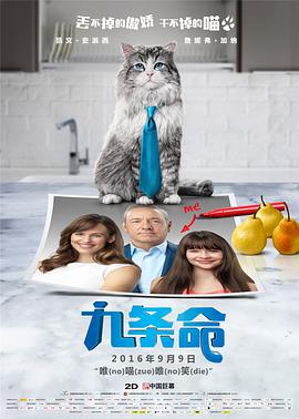 高清影视