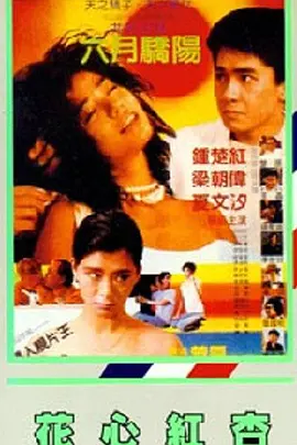 手机免费播放
