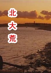 中文字幕未删减版在线观看