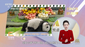 电影未删减